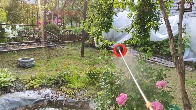 Радостная встреча. Мои сокровища. Наконец-то дождались смотреть онлайн