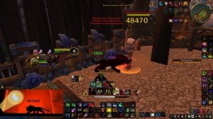 Ленивый «Гайд» на Feral (Ферал) кот 4т5/2т6 Wow Sirus. Вся суть иг?