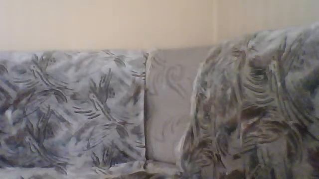 Видео с веб-камеры. Дата: 26 апреля 2013 г., 14:52.