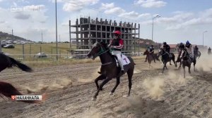 Кубок Дагестана по конному спорту провели в Махачкале