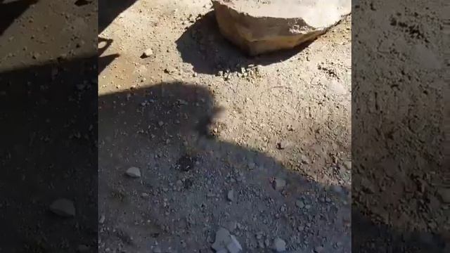 АК-74 вместо балонника