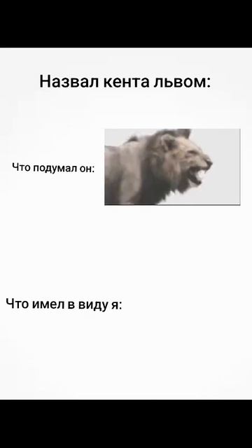 Что за лев этот тигр смотреть онлайн