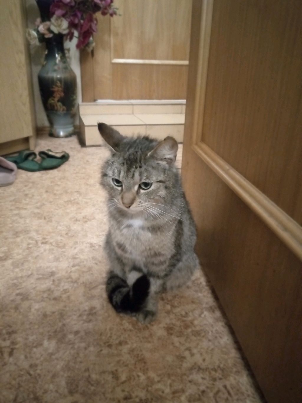 Шрек ест говновозку!!!
#шрек