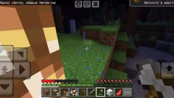 Выживаем 30 дней в мире херобрина с @Mrchiken_MR_TEAM часть 1