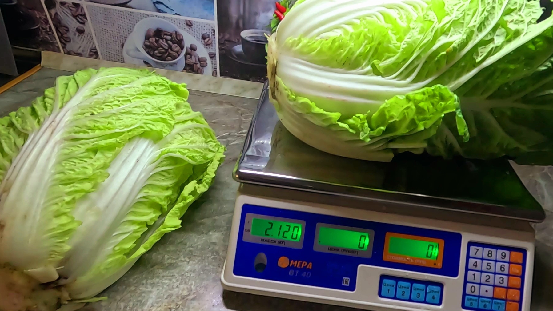 Как вырастить пекинскую капусту? Легко! Супер урожай пекинки без хлопот! смотреть онлайн