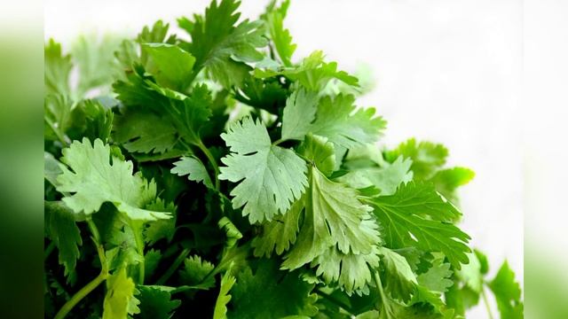 Виды зелени для салатов. Types of greens for salads a variety of flavors and benefits смотреть онлайн