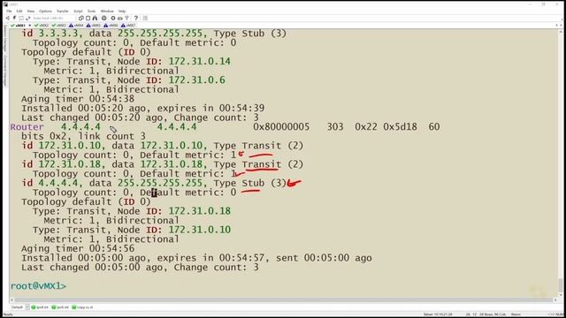 05. Verify LSDB Contents and Protect the LSDB смотреть онлайн