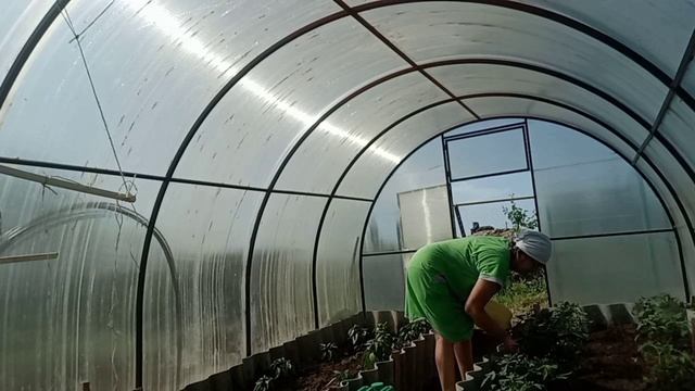 ЖИЗНЬ В ДЕРЕВНЕ