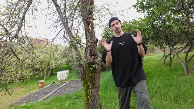 Участок 36 соток в Адлере по цене готового дома. Свой са