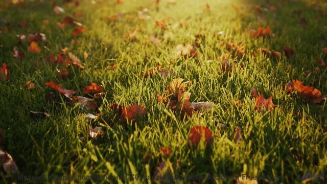 Музыка качает сильнее, чем буря над полями - The Karmic Brainseed Wheel -- Omniman -- Unnamed Album