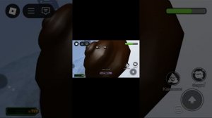 Roblox_2025-06-11-09-48-43.mp4