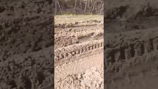 Ужасная дорога Томск -Кедроввй😱 смотреть онлайн