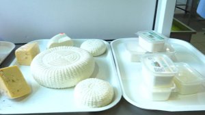 Крестьянско-фермерское хозяйство «Мардер»