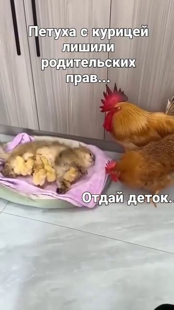 новая мама смотреть онлайн