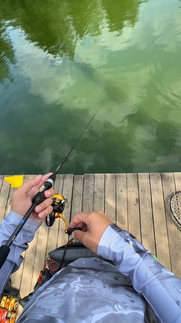 Новенький ронин раш титаниум с супер чувствительной вершинкой смотреть онлайн