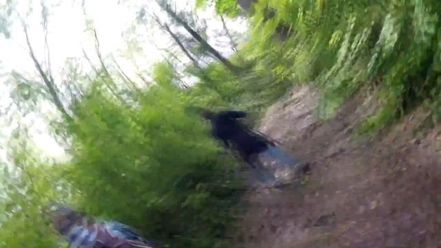 Лесная прогулка на гору ,,Лысый Дед,, Приморский край