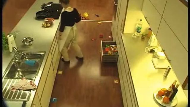 Наблюдения за использованием SERVO-DRIVE на кухне