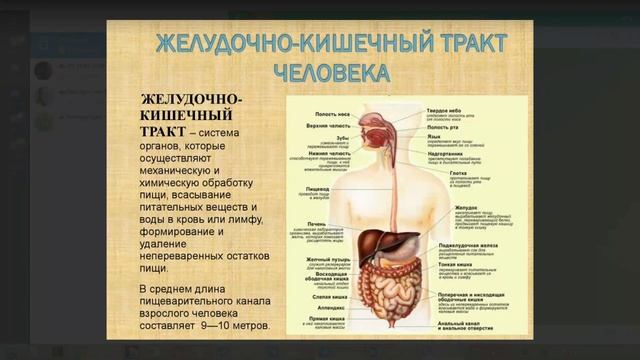 Изделия Асония💥для ЖКТ человека