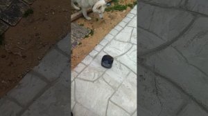 площадка под каркасный бассейн из бетона