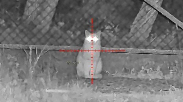 NV076-940-25 Taipan 5.mp4