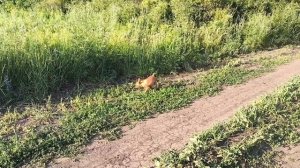 отдых с нами. приятные эмоции это к нам.