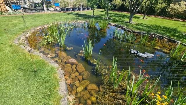 Добрый день! смотреть онлайн