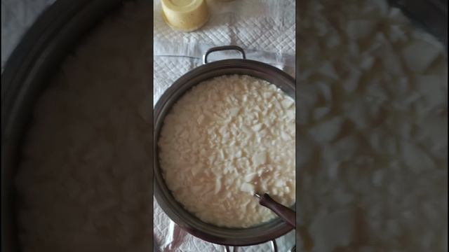 осетинский сыр 🧀