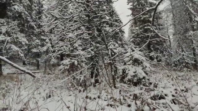 Национальный парк Таганай  Митькины скалы