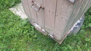 Борьба с муравьями, на пасеке.