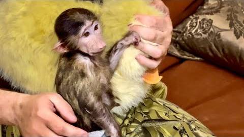 Я НЕ УЗНАЮ Анфису! Какая она рядом с Денисом ПОКЛАДИСТАЯ и СПОКОЙНАЯ! смотреть онлайн