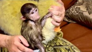 Я НЕ УЗНАЮ Анфису! Какая она рядом с Денисом ПОКЛАДИСТАЯ и СПОКОЙНАЯ!