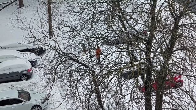 228.Утро в нашем дворе.Воспитание трудотерапией.Дайте д