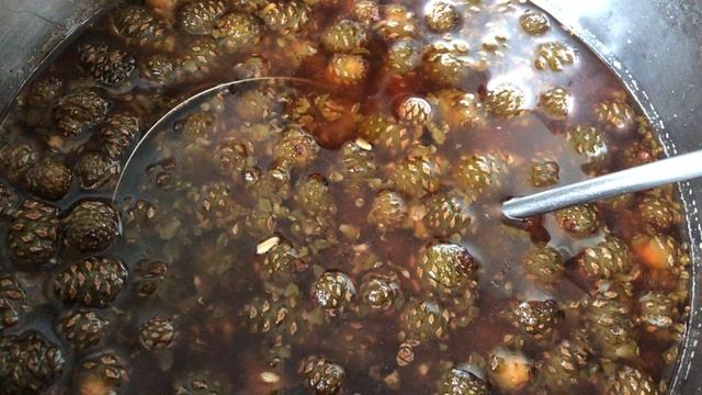 Как я варила варенье из сосновых шишек (рецепт в видео) смотреть онлайн