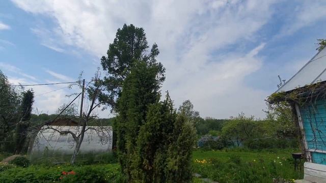 Весна на даче. Сажаю картофель. Рабочие выходные