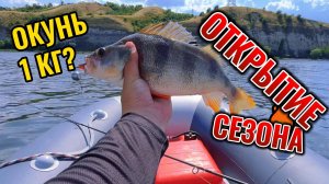 Ловим рыбу с эхолотом Lowrance Elite FS 9 Открытие сезона 2025