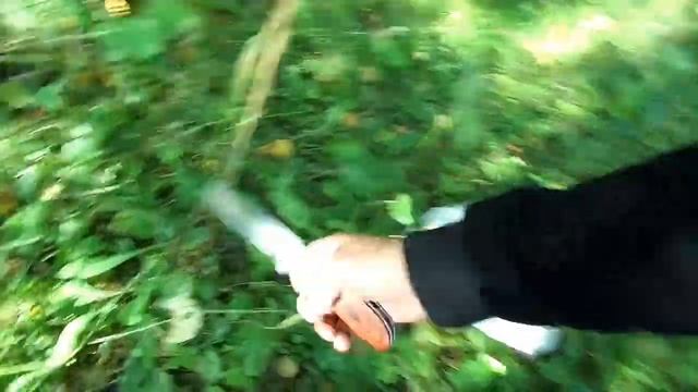 Грибникам , - хрен чего Достанется !