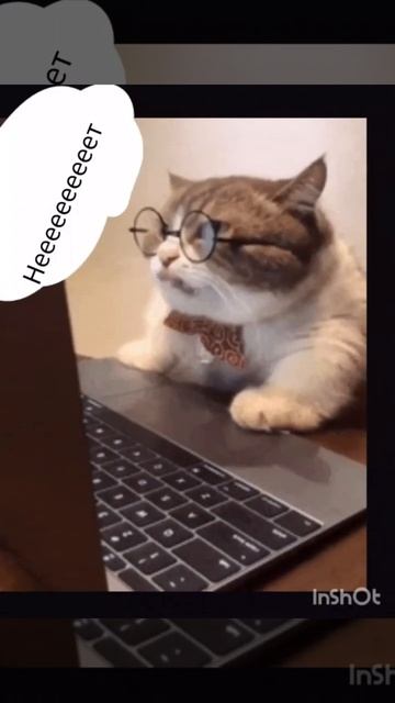 У Котика починился компьютер 4 часть