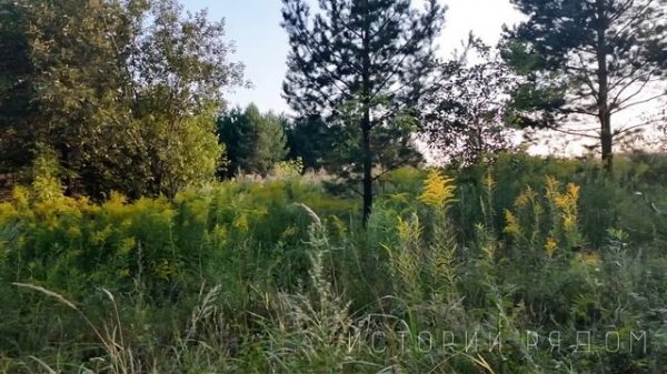 Запах предательства. Рассказ