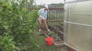 6 соток 7 июня 2025 года. 1 часть