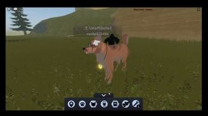 Обзор игры Комплект волков Альфа - Wolf RP 🐺