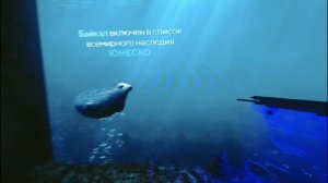 На грани фантастики - национальный центр Россия. выставка!