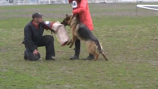 69 Рус Оль Таг Черри.mpg
