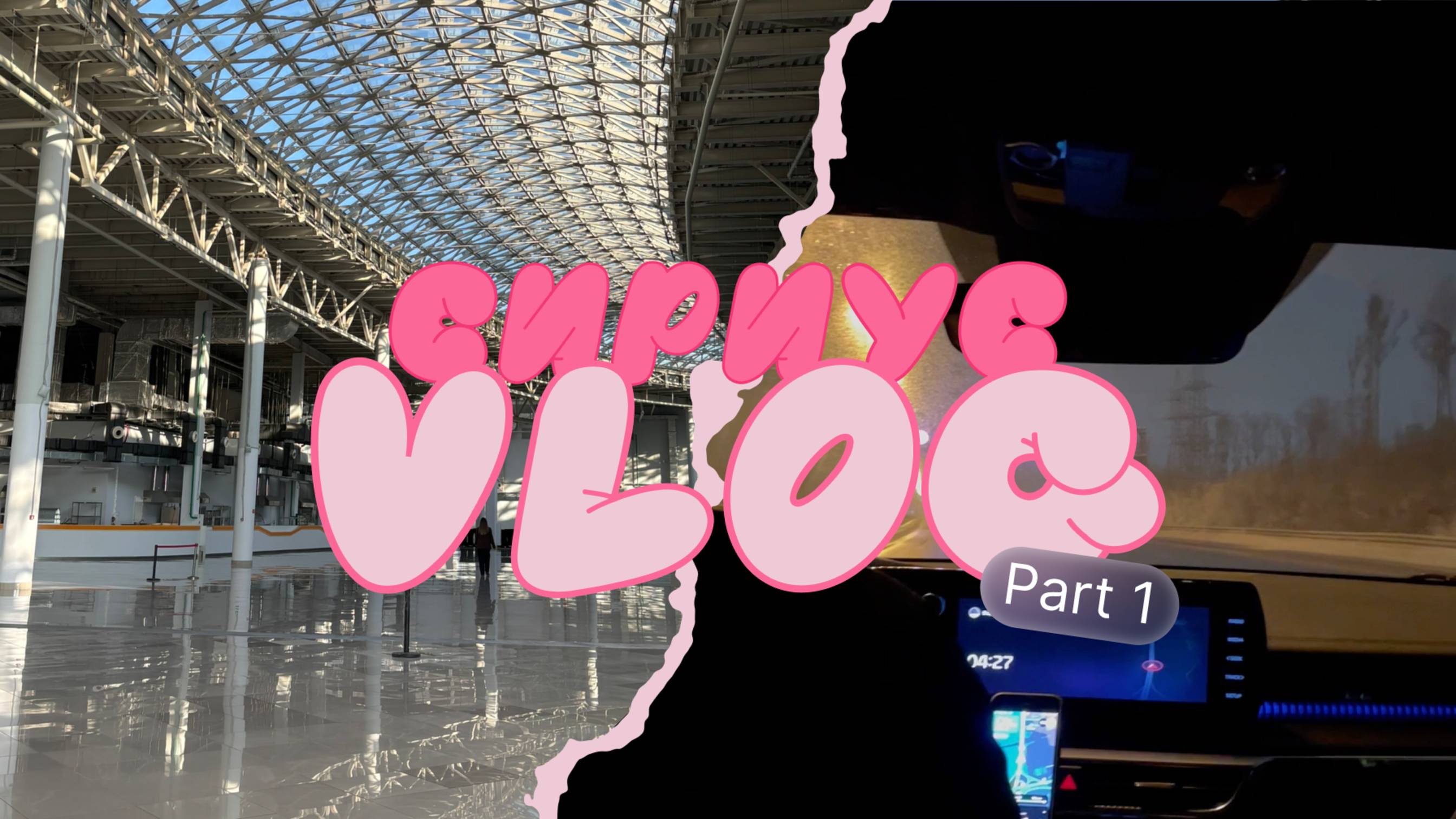 Улетели в Сочи работать, а не отдыхать. Сириус VLOG 1/8