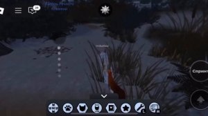 Речное племя в Котах-Воителях Roblox | История, лагерь и ц?
