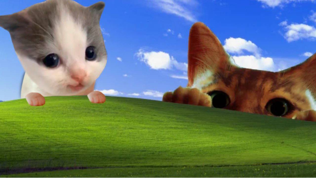 Вова геймер