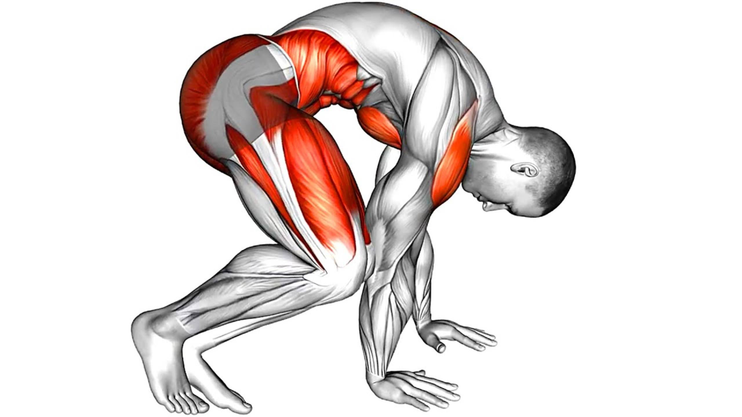 Избавьтесь от Жира на Животе ради шести кубиков пресса смотреть онлайн