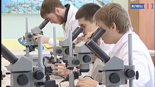 Стабильное качество образования и комфортные условия: ЕГУ им. И.А. Бунина подготовился к началу смотреть онлайн