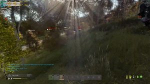 КАК ОПТИМИЗИРОВАТЬ НАСТРОЙКИ DAYZ В 2025 ГОДУ