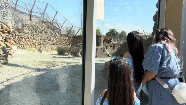 Шымкент отбасылық саяхат смотреть онлайн