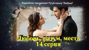 Обзор турецкого сериала "Любовь, разум, месть" 14 серия